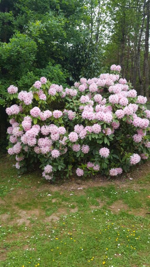 Le Mas Des Geais Boulazac Isle Manoire ภายนอก รูปภาพ